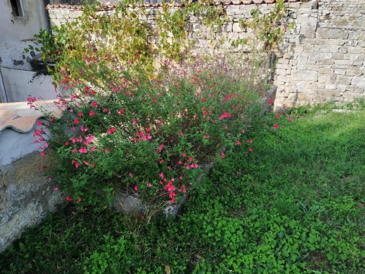 Holiday home St Pierre *